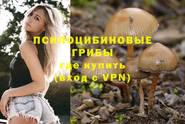 трава Баксан