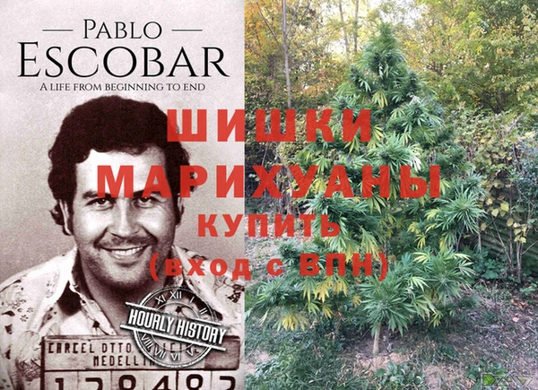 дурь Балахна