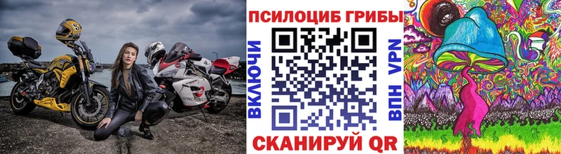 Псилоцибиновые грибы мицелий где можно купить наркотик это какой сайт Звенигово